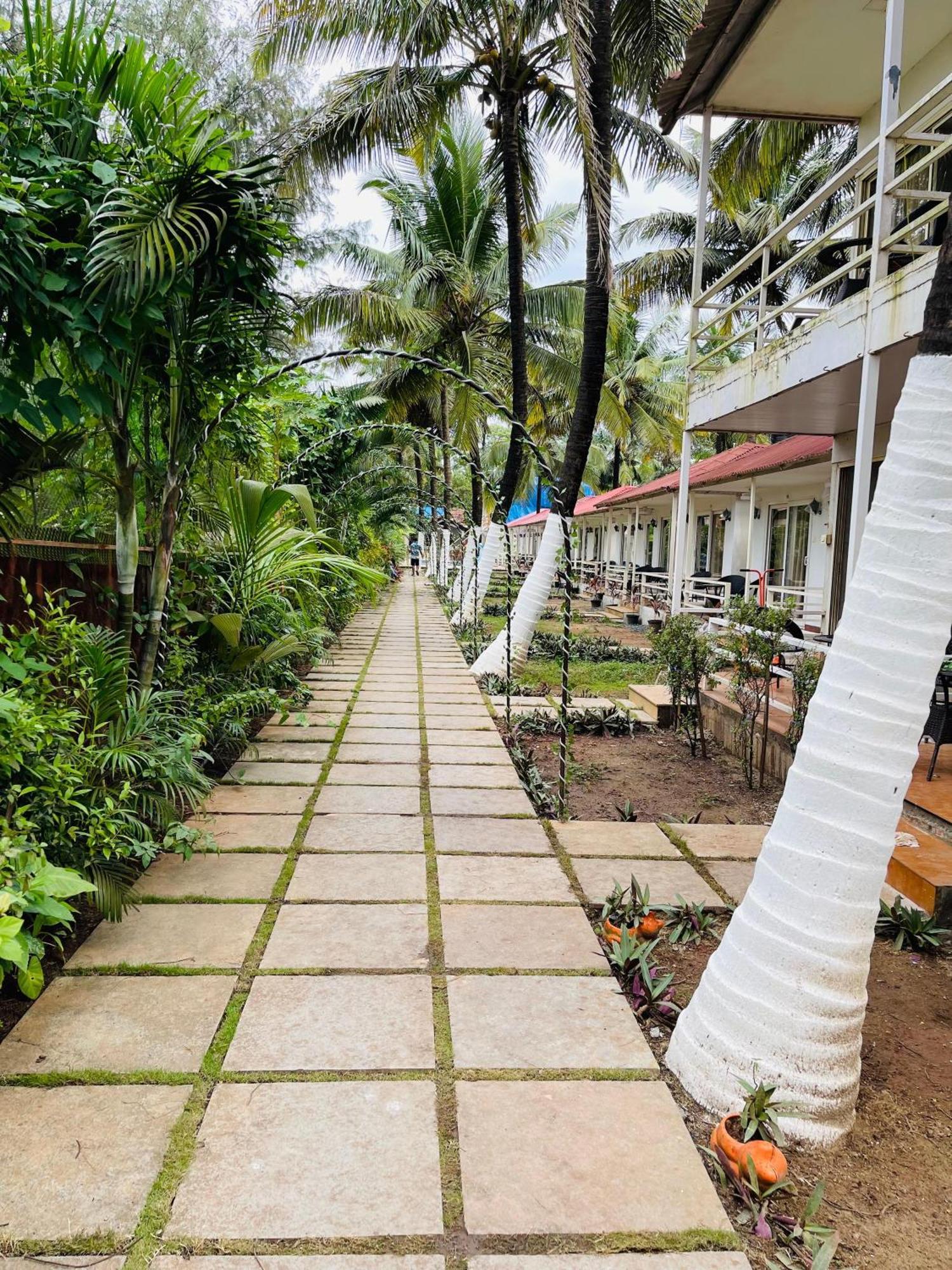 Arabian Sea Beach Resort Morjim Esterno foto
